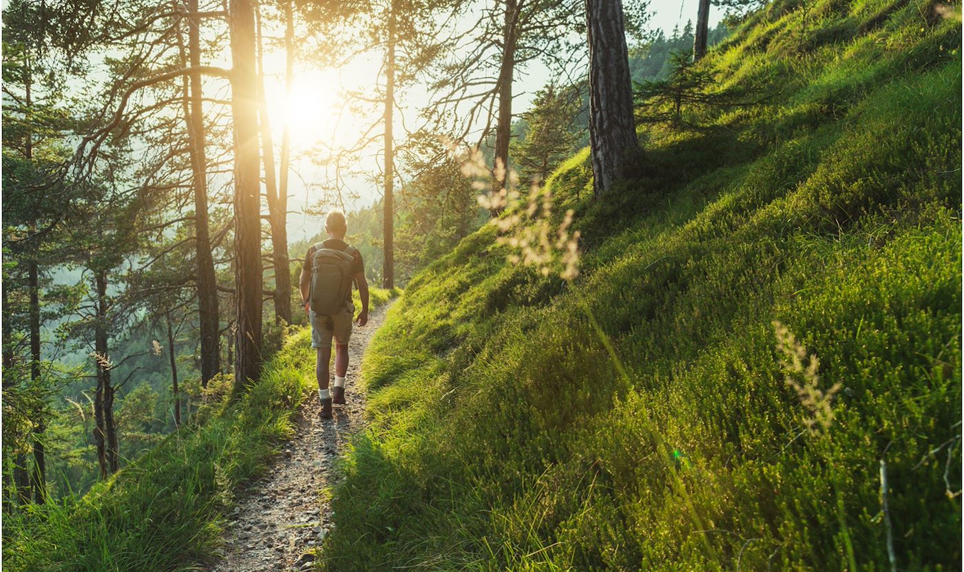 Hiker walking through the woods